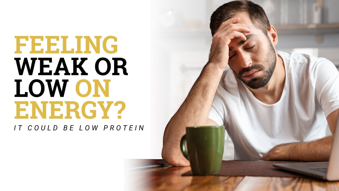 Feeling Weak or Low on Energy? It Could Be Low Protein