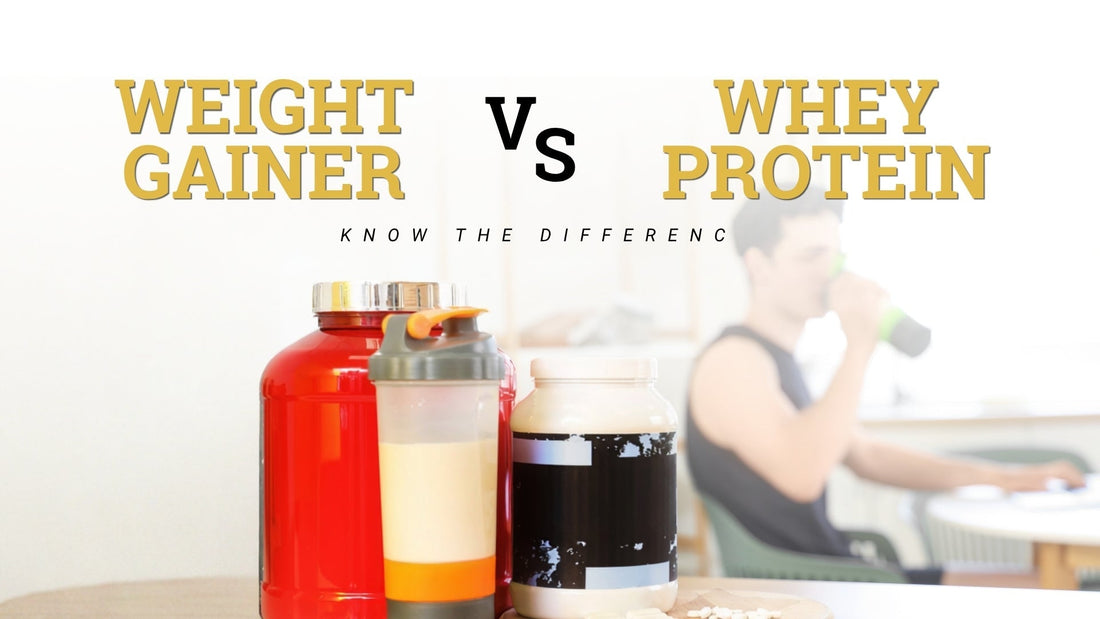 Weight Gainer vs Whey Protein: Know the Difference