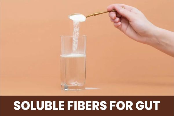 Soluble Fibers for Gut and Metabolic Health