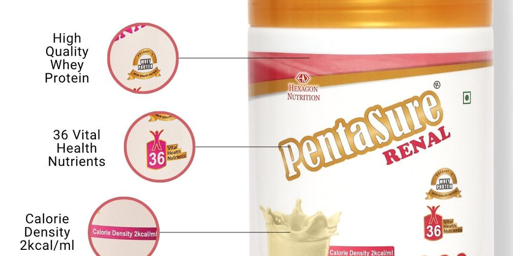 Pentasure RENAL – Renal Nutrition Powder for Kidney Care - 400gm