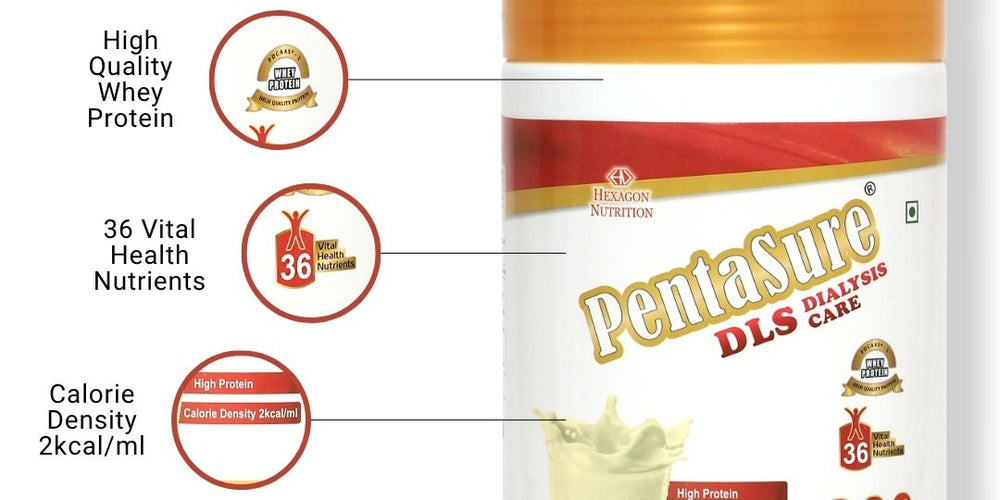 Pentasure DLS Dialysis Supplement – Renal Nutrition Powder for Kidney Care - 400gm
