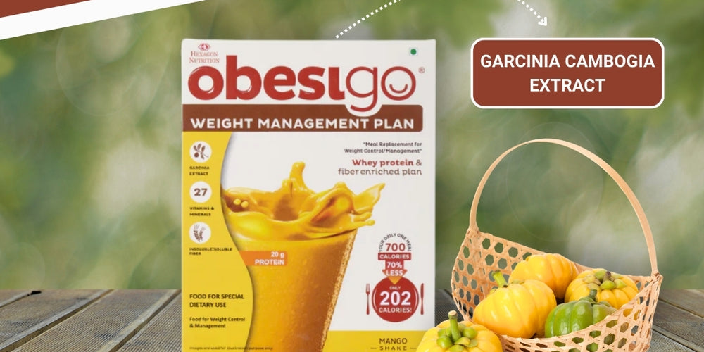 Obesigo  – Best Meal Replacement Shake for Weight Loss (350gm, 7 Sachets - Weekly Plan, Mango Flavour)