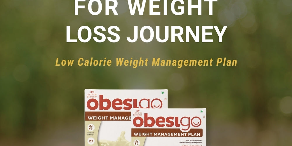 Obesigo Vanilla Weight Loss Shake – Pack of 4 - monthly pack