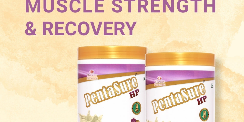 Pentasure HP Whey Protein – High Protein Powder for Muscle Recovery & Strength - 1 kg